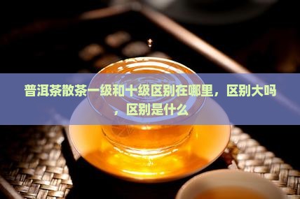 普洱茶散茶一级和十级区别
