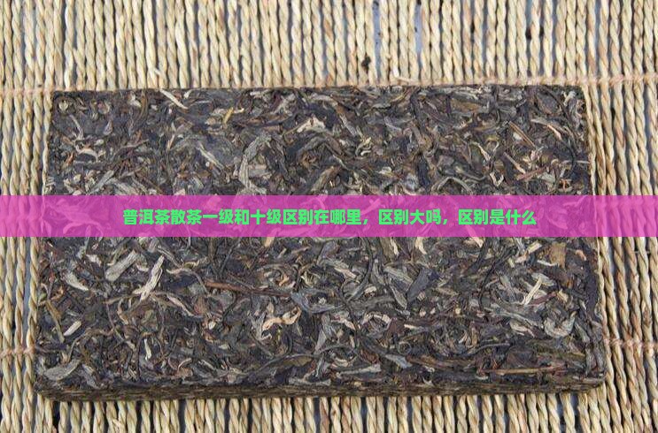 普洱茶散茶一级和十级区别