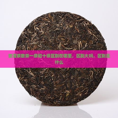 普洱茶散茶一级和十级区别