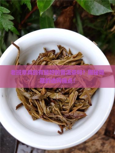 老班章最好的普洱茶