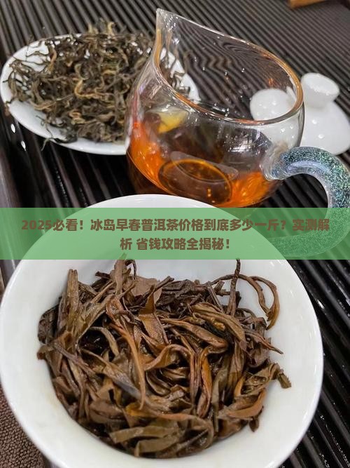 冰岛早春普洱茶价格多少一斤
