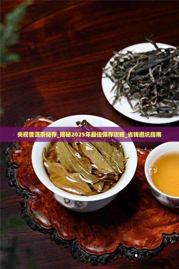 央视普洱茶储存