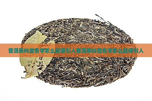普洱茶抖音名字