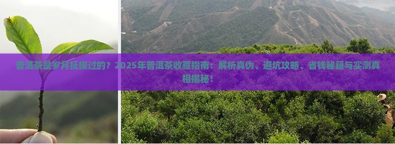 普洱茶是岁月抚摸过的