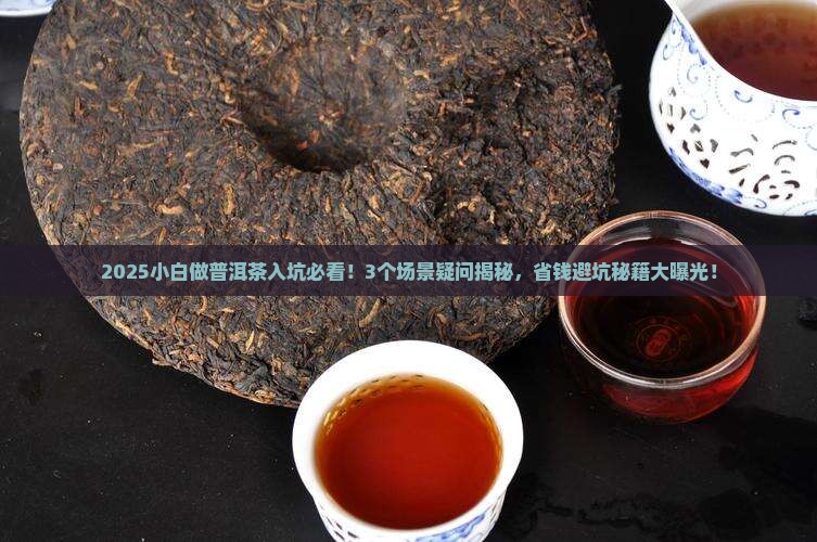 小白做普洱茶入坑