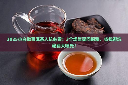 小白做普洱茶入坑