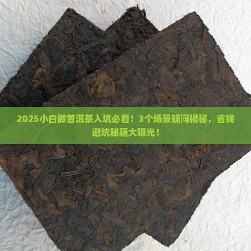 小白做普洱茶入坑