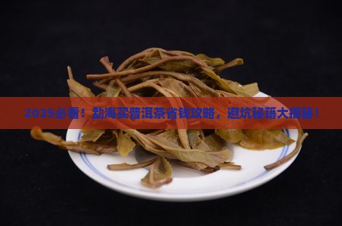 在勐海买普洱茶