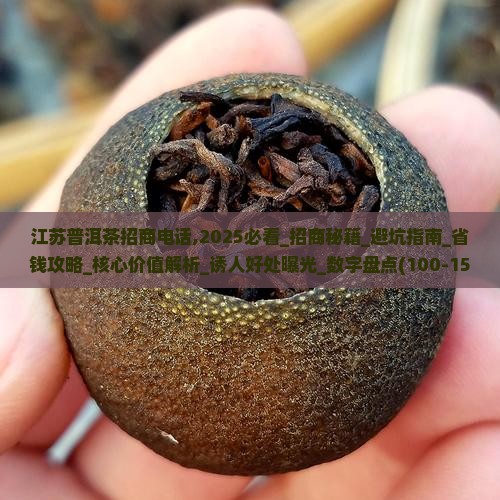 江苏普洱茶招商电话