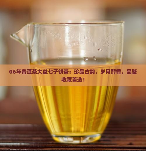 06年普洱茶大益七子饼茶