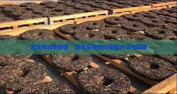 普洱茶加快排便