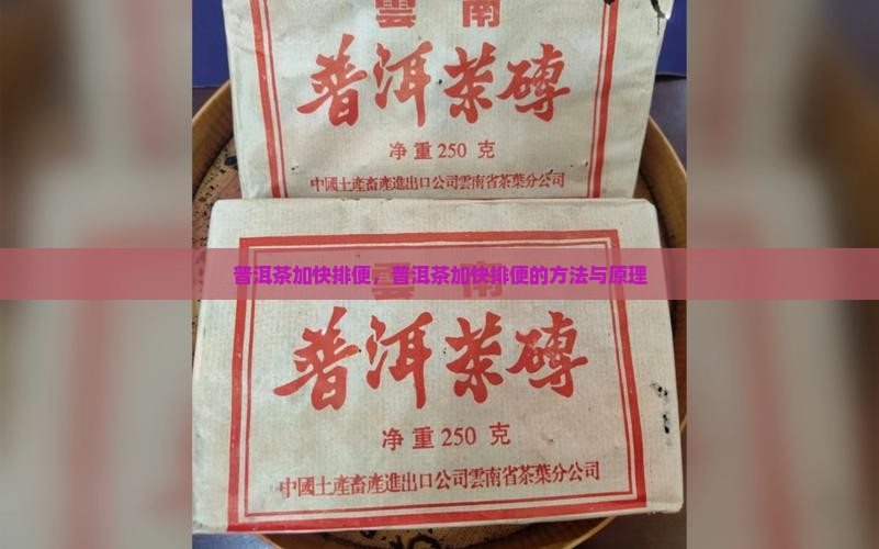 普洱茶加快排便