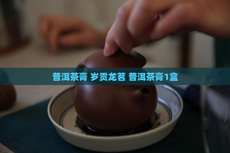岁贡龙茗普洱茶膏1盒