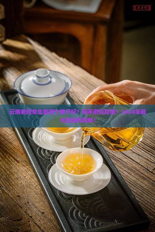 云南老班章生普哪个牌子好