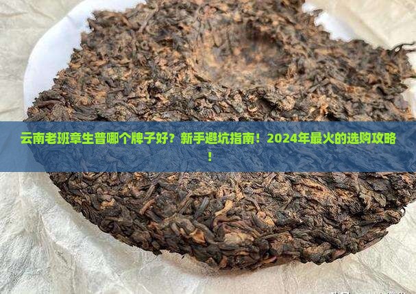 云南老班章生普哪个牌子好
