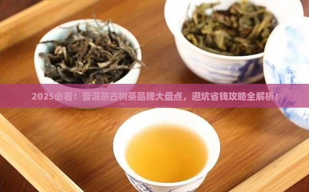 普洱茶古树茶品牌推荐