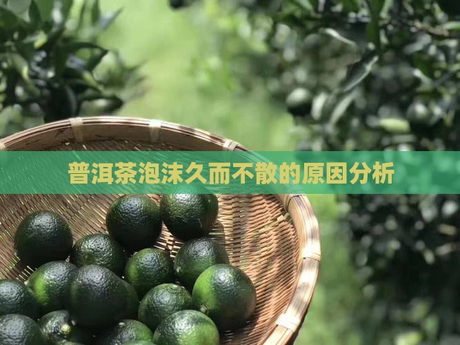 普洱茶泡沫久而不散正常吗