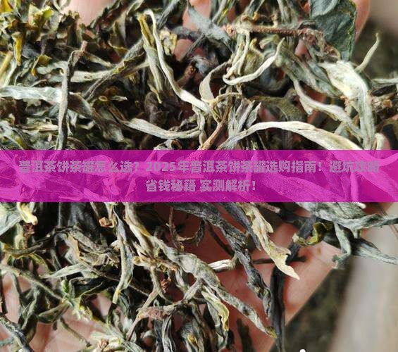 普洱茶饼茶罐怎么选