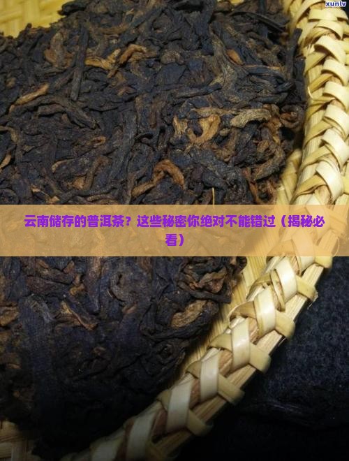 云南储存的普洱茶