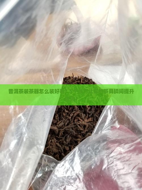 普洱茶装茶器怎么装好看