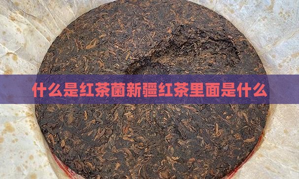 什么是红茶菌新疆红茶里面是什么