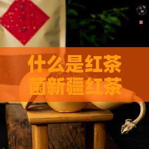 什么是红茶菌新疆红茶里面是什么