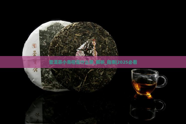 普洱茶小青柑是什么茶