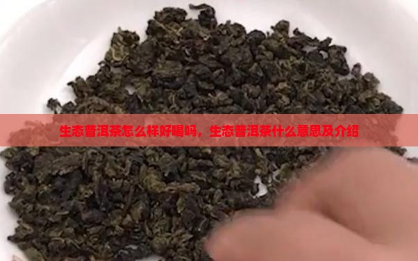 生态普洱茶怎么样