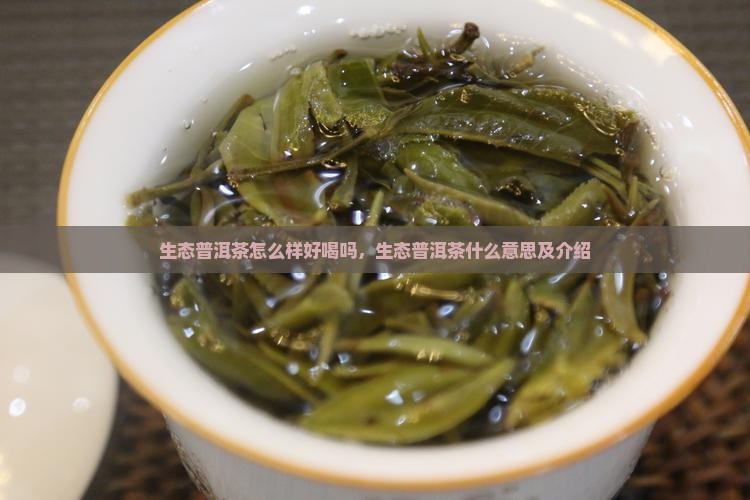 生态普洱茶怎么样