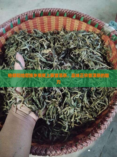 格朗和哈尼族乡南莫上寨普洱茶
