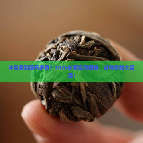 云茶之邦冰岛茶