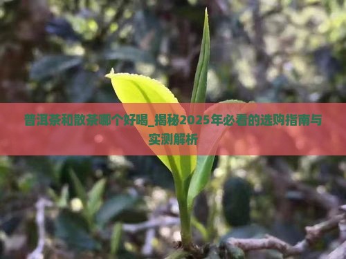 普洱茶和散茶哪个好喝