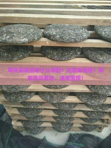 喝茶后嘴苦是什么原因
