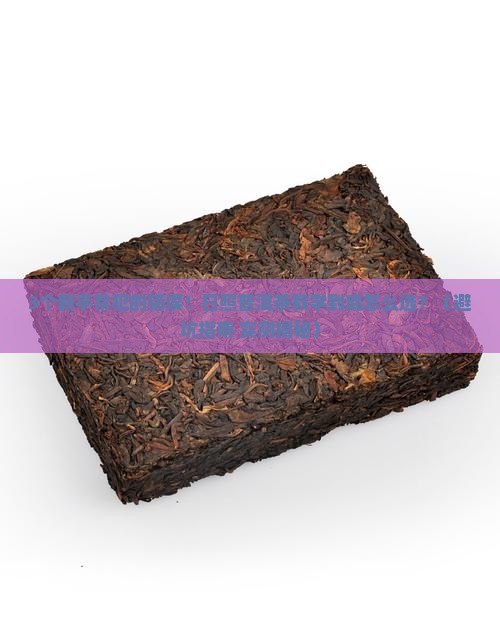日照普洱茶教学