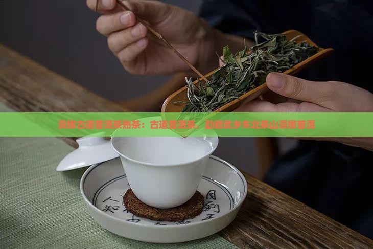 漫撒古道普洱茶熟茶
