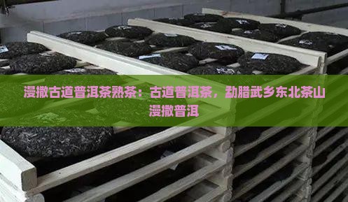 漫撒古道普洱茶熟茶