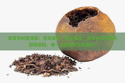 华贡古树普洱茶