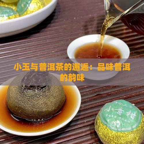 铃木小玉普洱茶