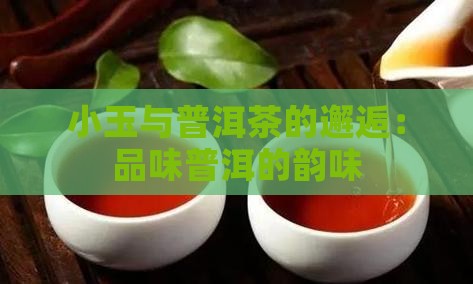 铃木小玉普洱茶