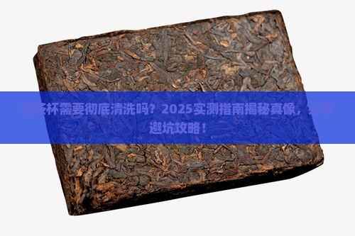 泡茶叶的杯子需要清洗吗