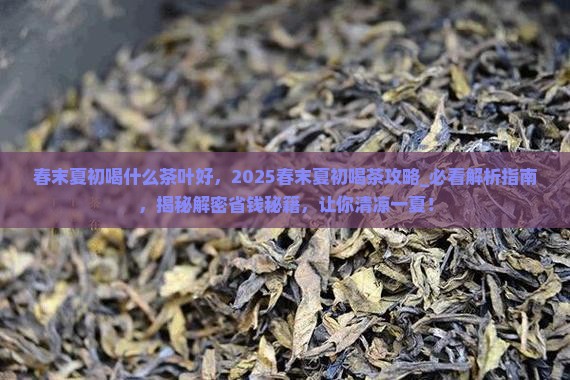 春末夏初喝什么茶叶好