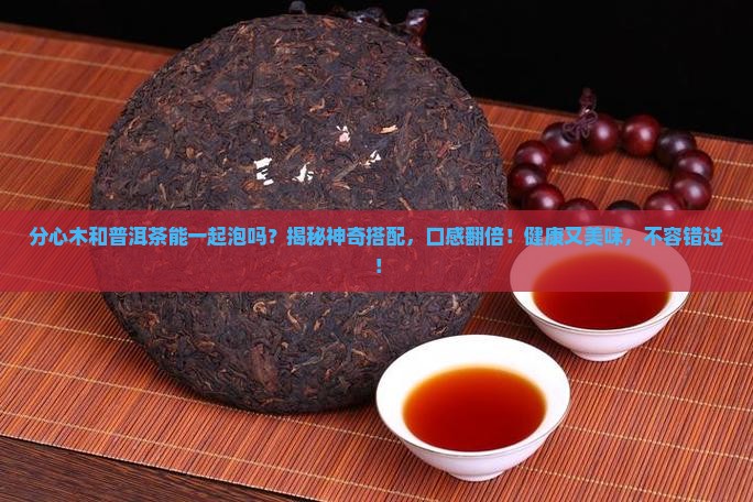 分心木和普洱茶能一起泡吗