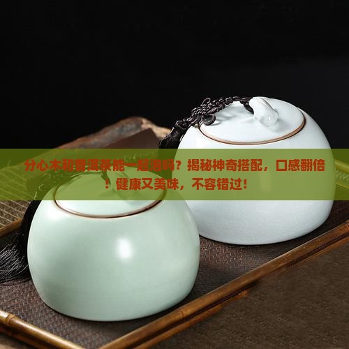 分心木和普洱茶能一起泡吗