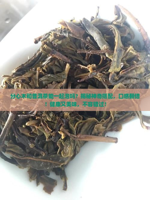 分心木和普洱茶能一起泡吗