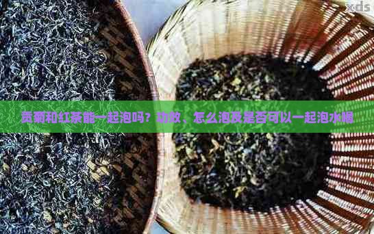 贡菊和红茶能一起泡吗
