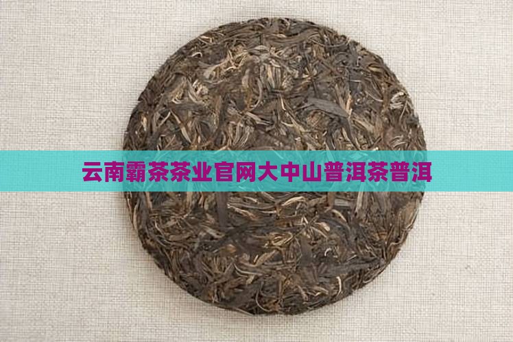 霸茶普洱官网大中山