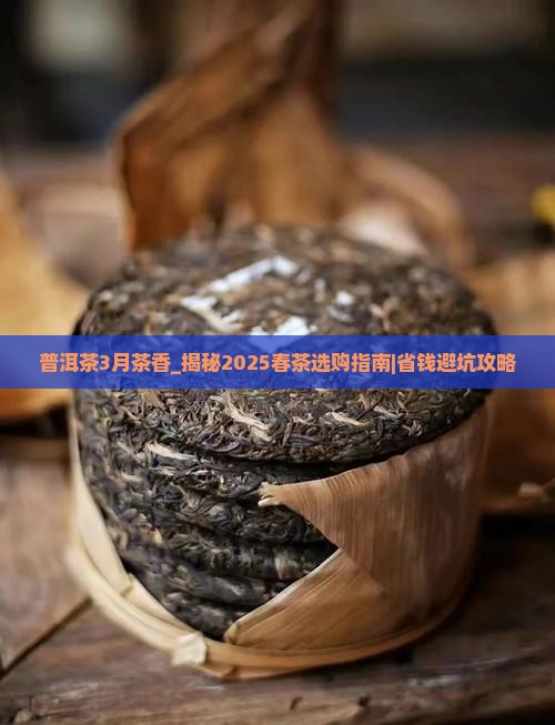 普洱茶3月茶香