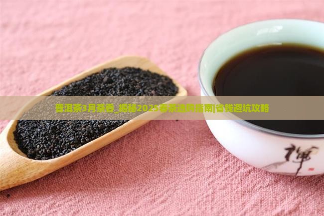 普洱茶3月茶香
