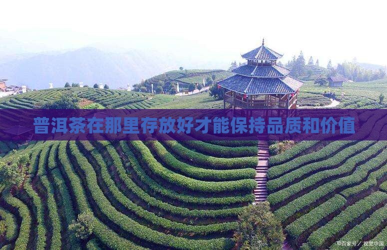 普洱茶在那里存放好