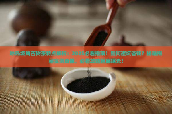 冰岛坡角古树茶特点